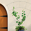 Feeney&reg; 3-in-1 Trellis System - 8900  (Call for availability)